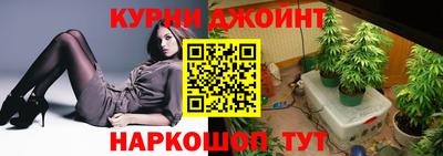 гидропоника Камышлов