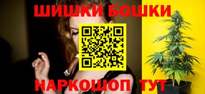 гидропоника Камышлов