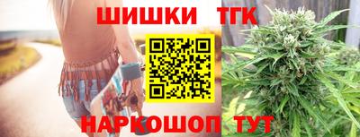 гидропоника Камышлов