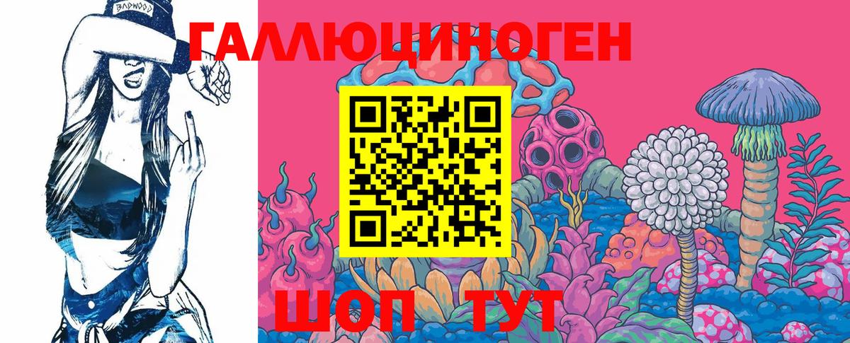 Майский  Галлюциногенные грибы Psilocybe  наркотики  Вход с VPN 