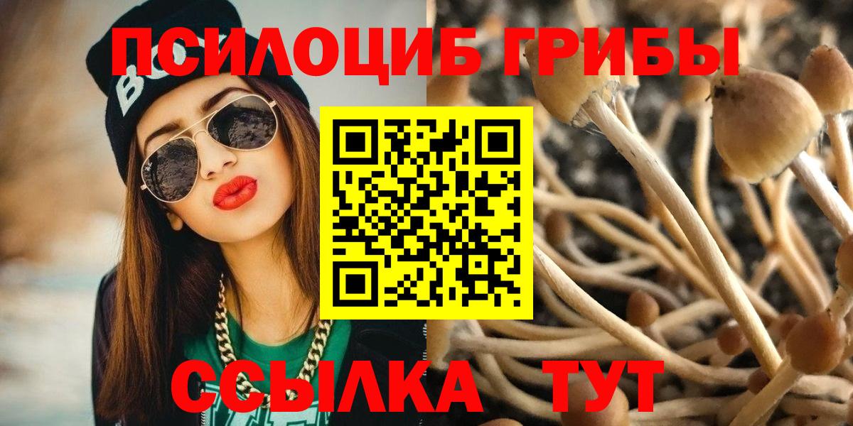 Галлюциногенные грибы GOLDEN TEACHER Майский